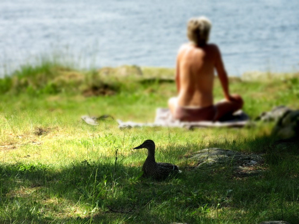 smeigedag_hytta_tommetanker