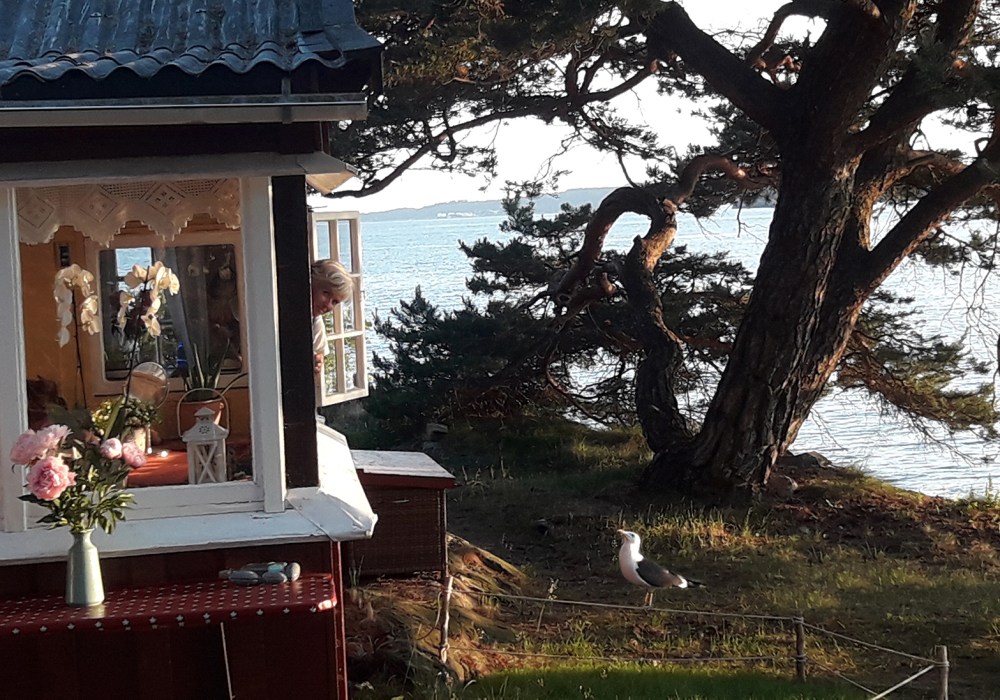 maya_og_måka_tommetanker