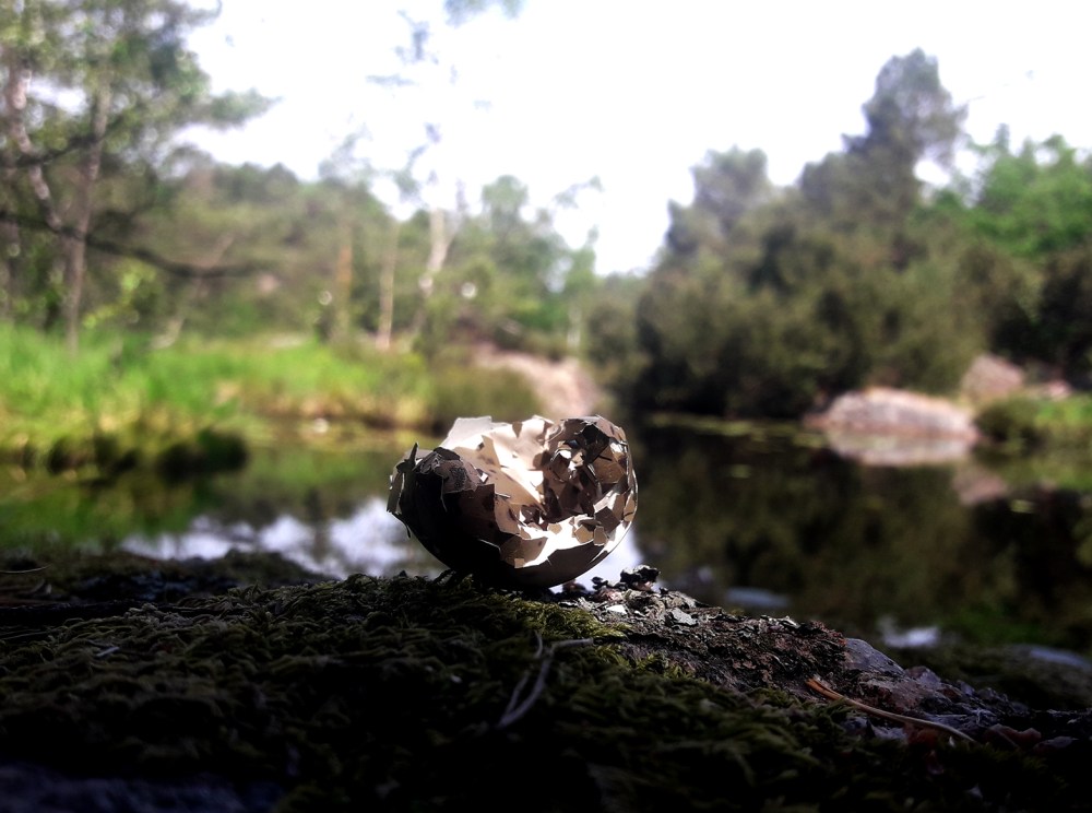 tante_måke_tommetanker