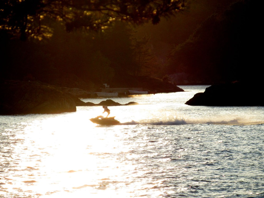 vannråtte_tommetanker