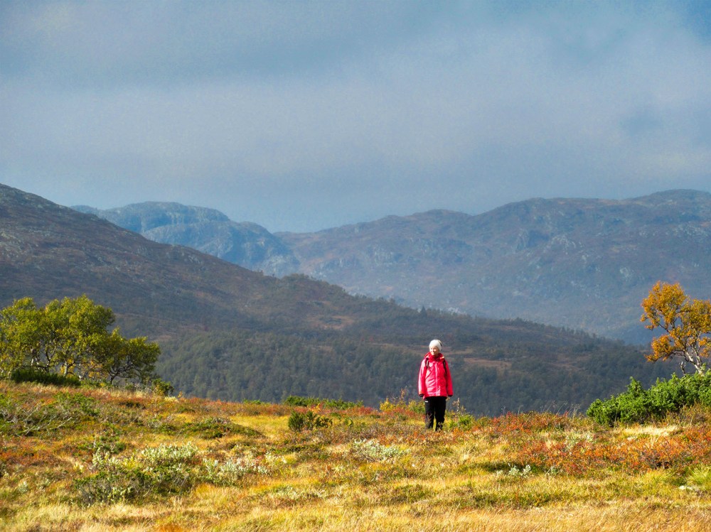 maya_ytre_galteristi_tommetanker