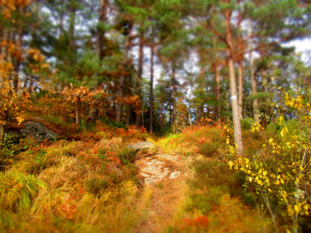 fargeblind3_tommetanker