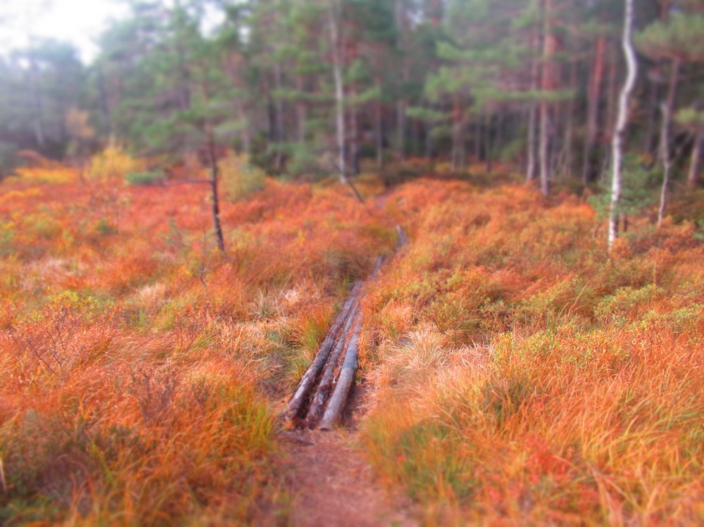 fargeblind_tommetanker