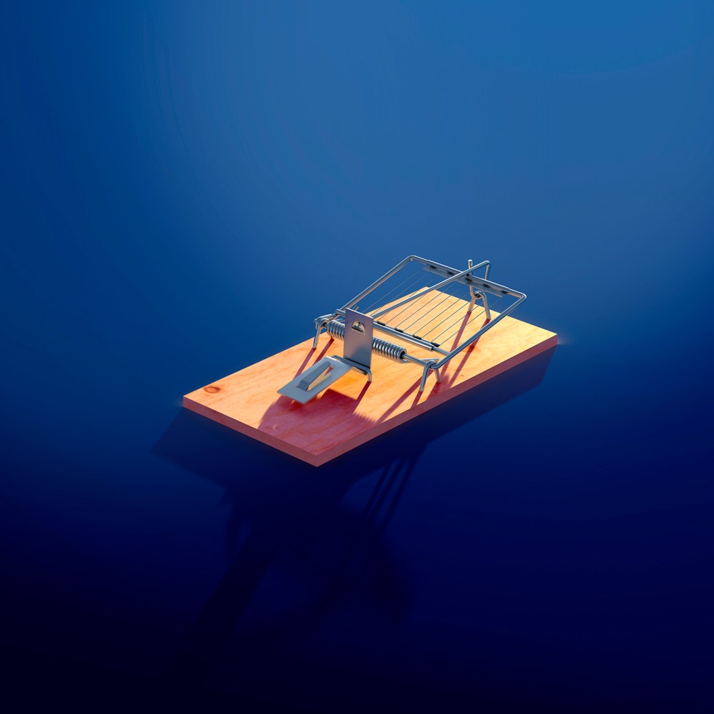 innovative_bigwig.no