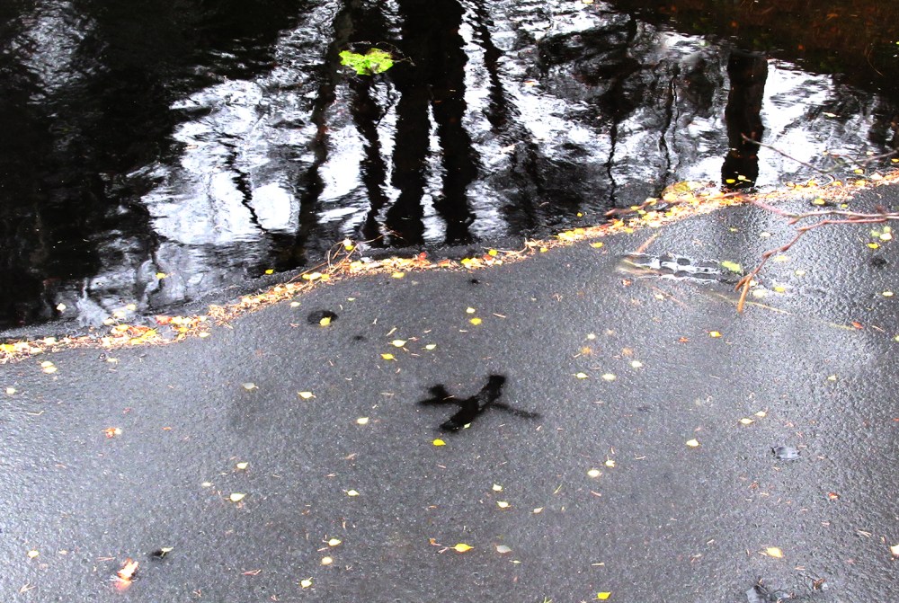 oktobersne_3_tommetanker