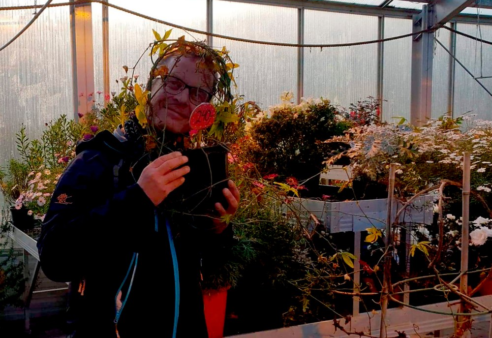 si_det_med_blomster_tommetanker