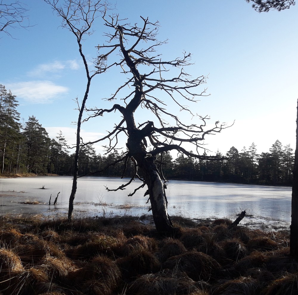 heietjønn_tommetanker