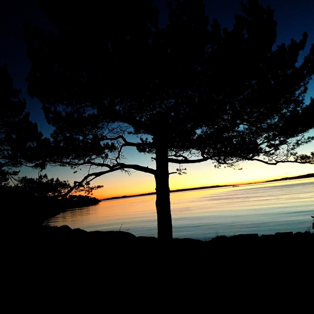 korsvikfjorden_tommetanker