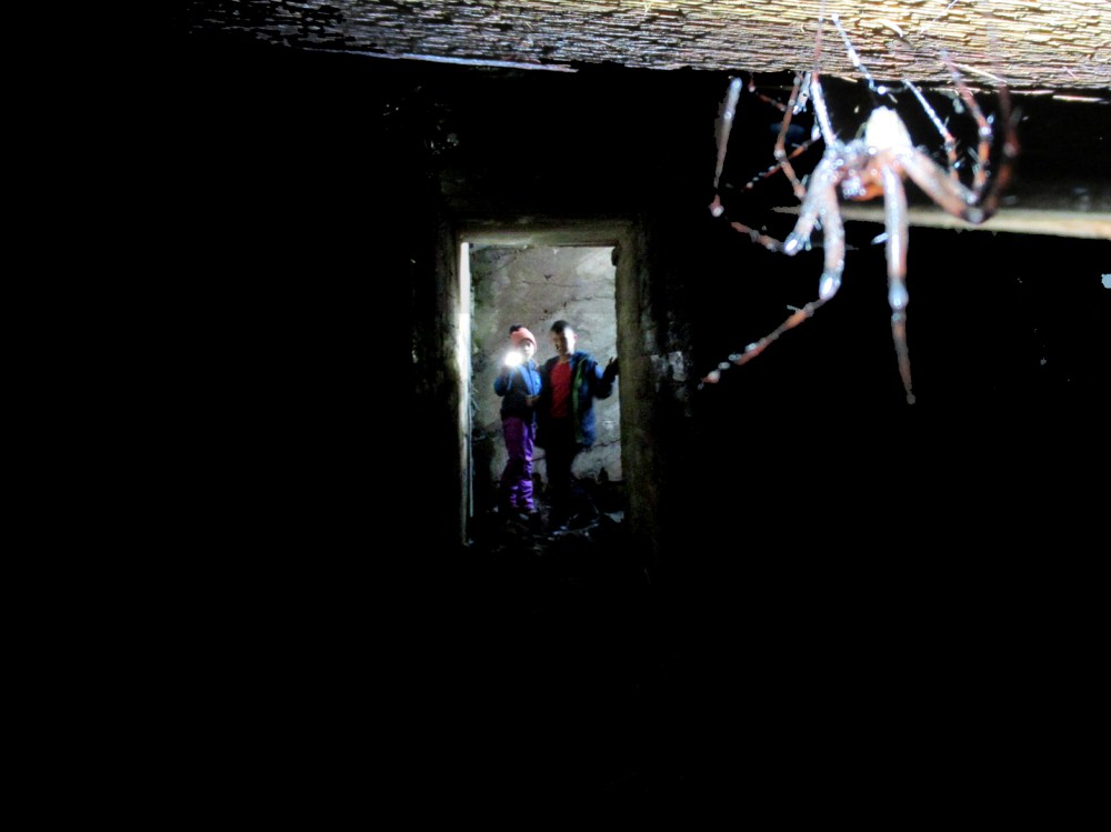 kvarodden_edderkopp_ta_turen2_tommetanker