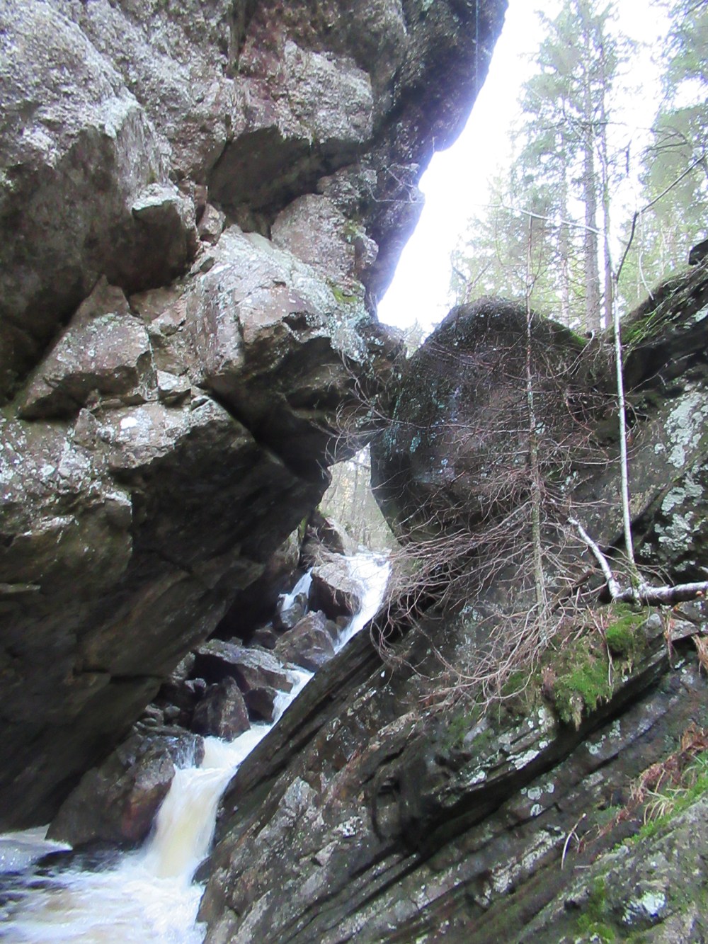 vennesla_bolten_2_tommetanker