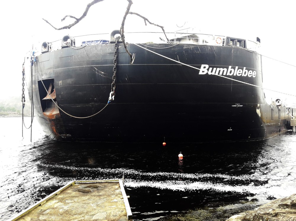 baaden_bumblebee_tommetanker