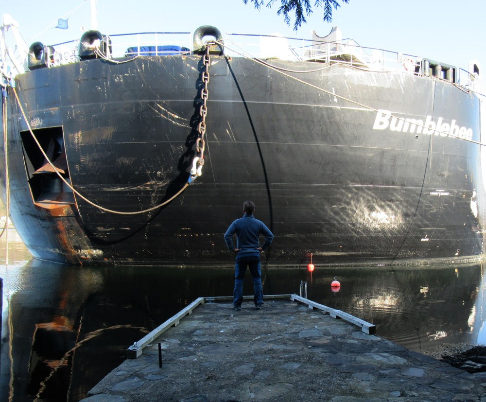 bumblebee_tommetanker