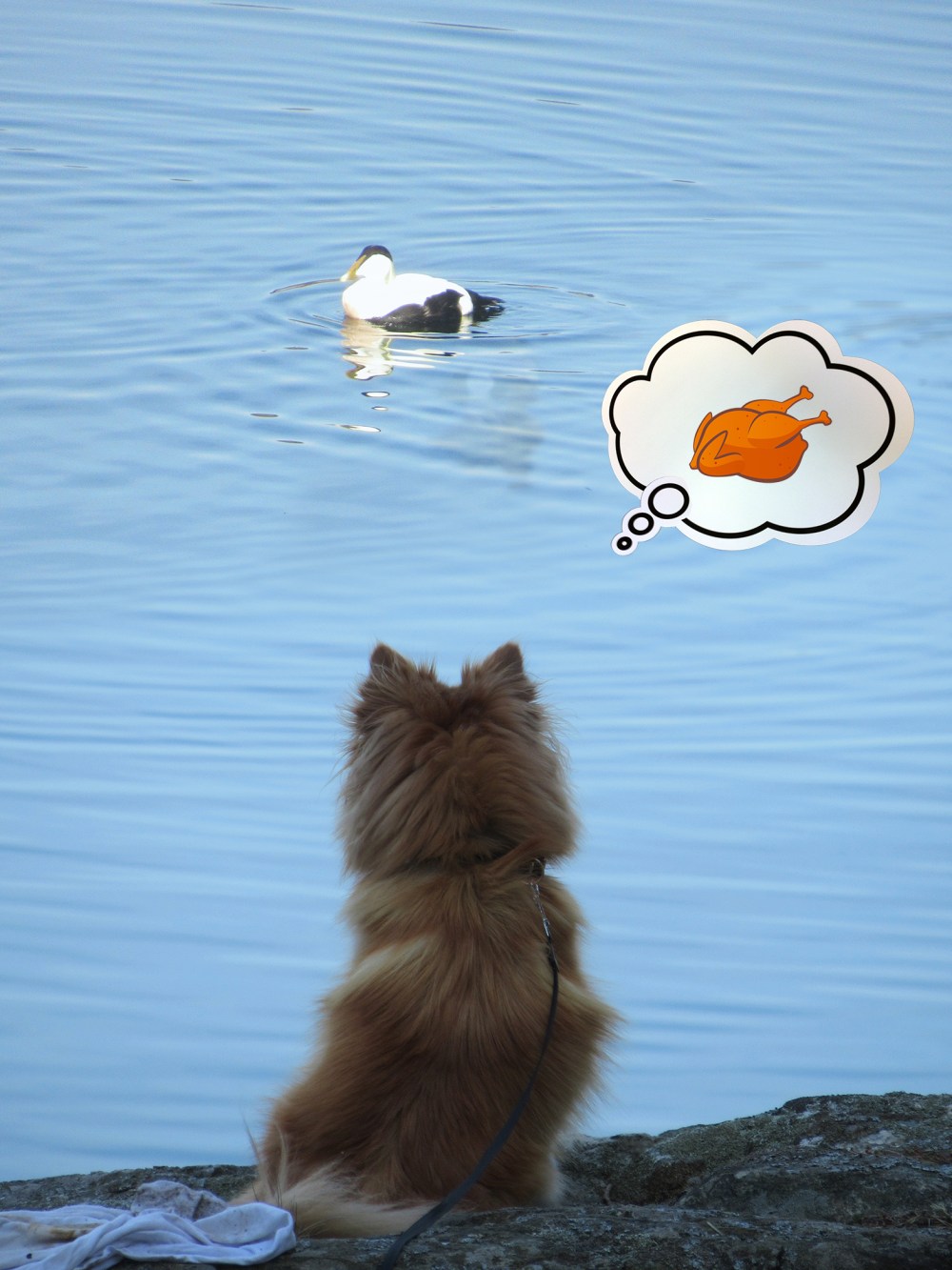 mia_sulten_tommetanker