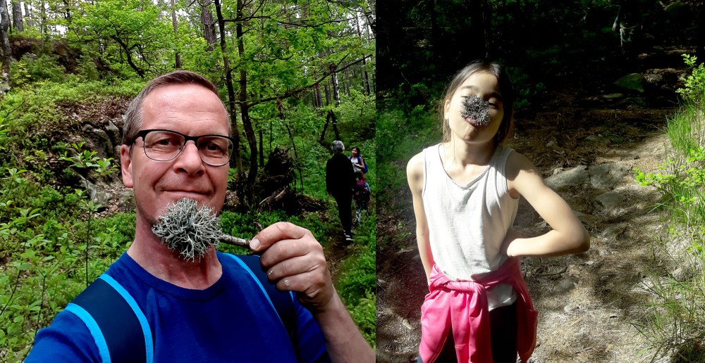 geitåsen2_tommetanker