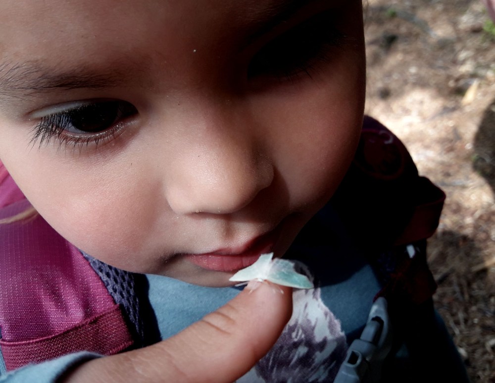 geitåsen4_tommetanker