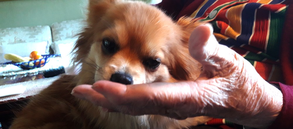 mia og min mor_tommetanker