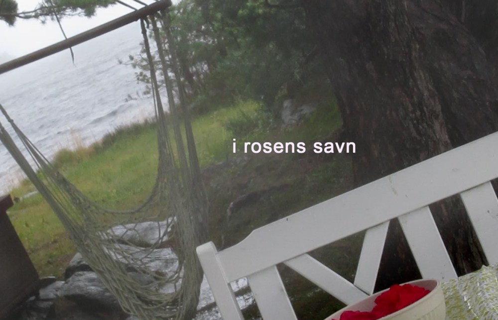 en_bolle_med_roser tommetanker