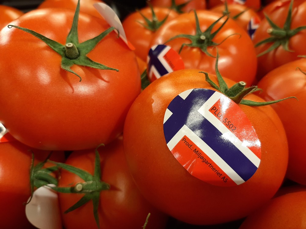 u_miljøgartneriet_tomater_søppel