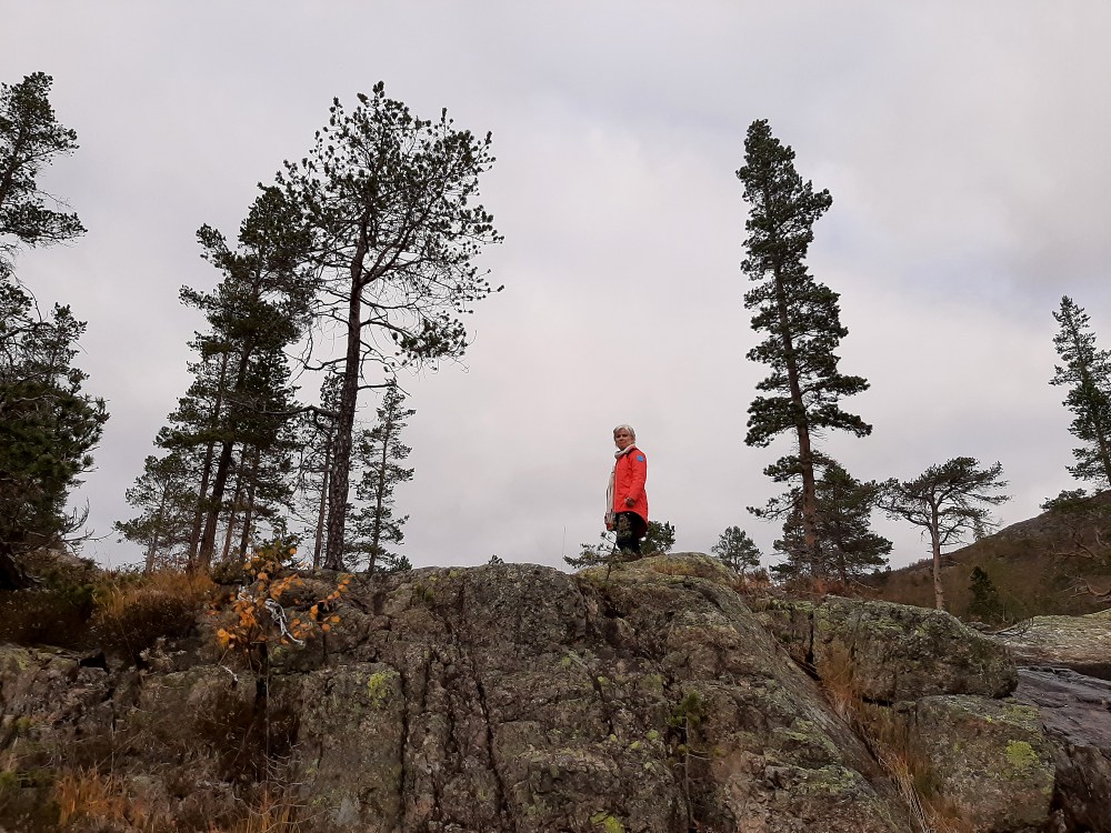 badstogdalen_tommetanker