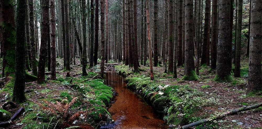 ålefjær_kirkevei_1_tommetanker