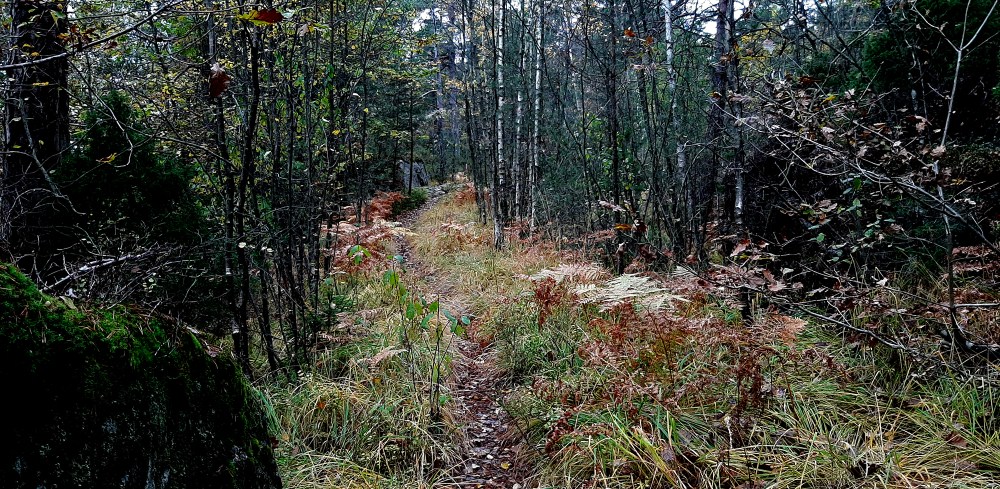 ålefjær_kirkevei_2_tommetanker