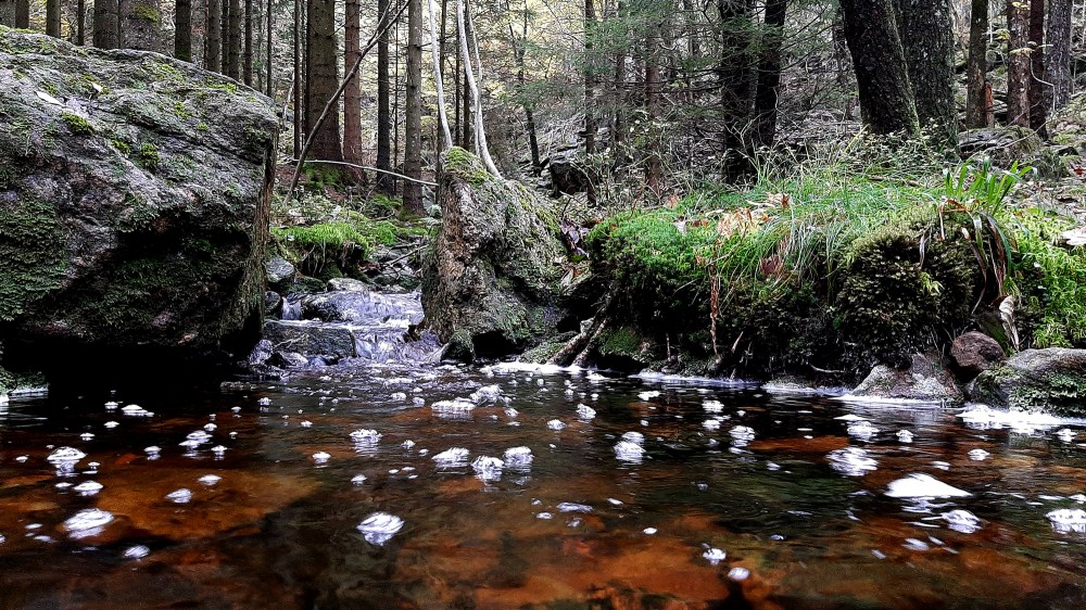ålefjær_kirkevei_tommetanker