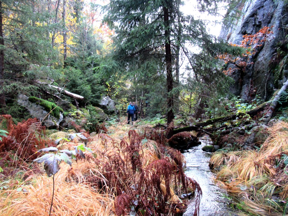 hjuringfallet_tommetanker