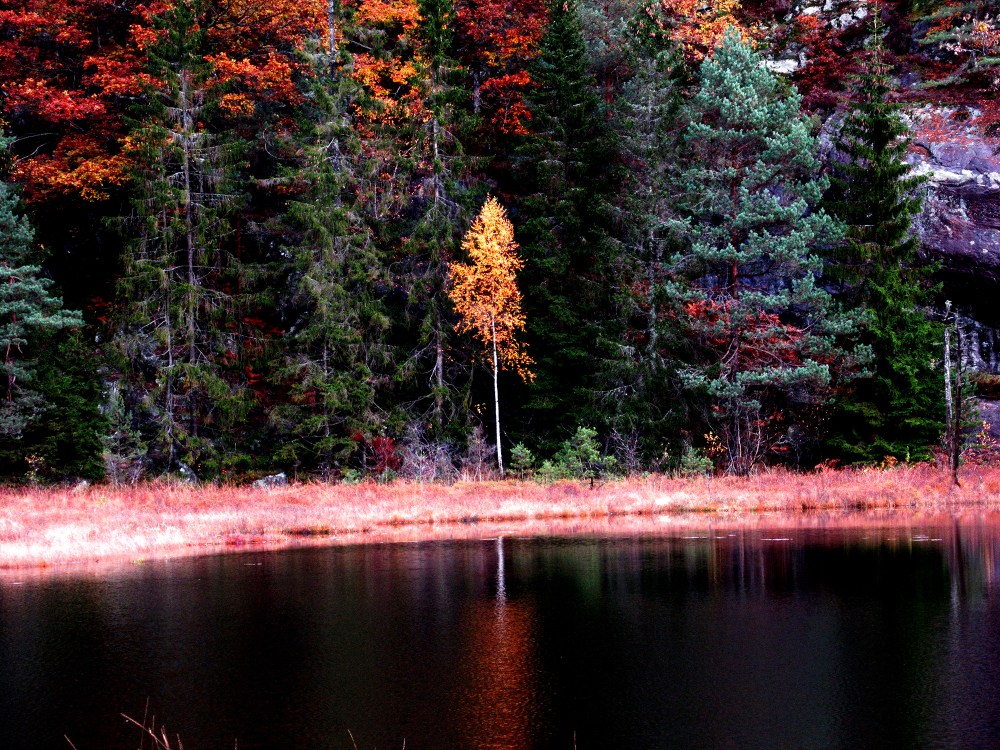 mørkestøltjønn_tommetanker