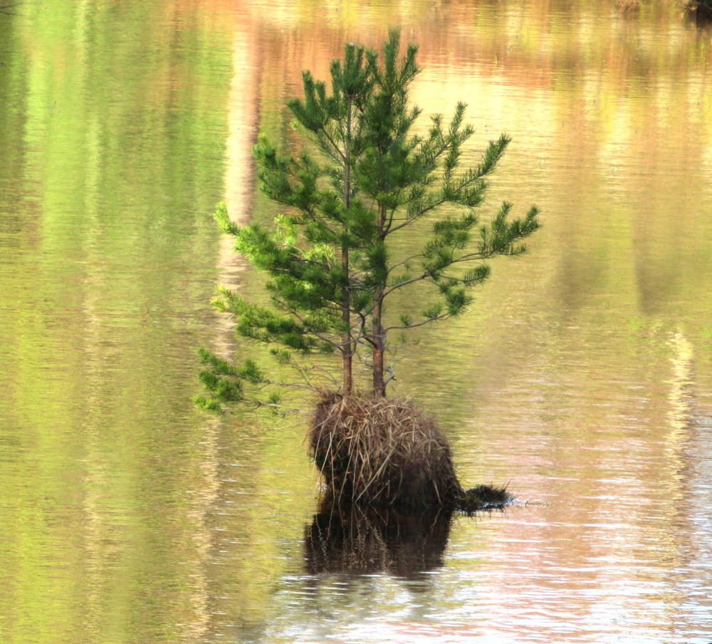 lykke_til_tommetanker