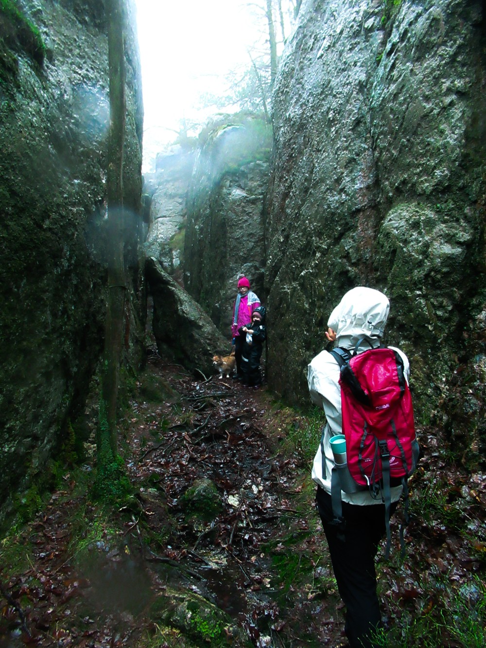 Viideheia_3_tommetnaker