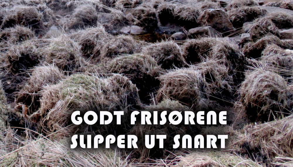 FRISOREN_tommetanker