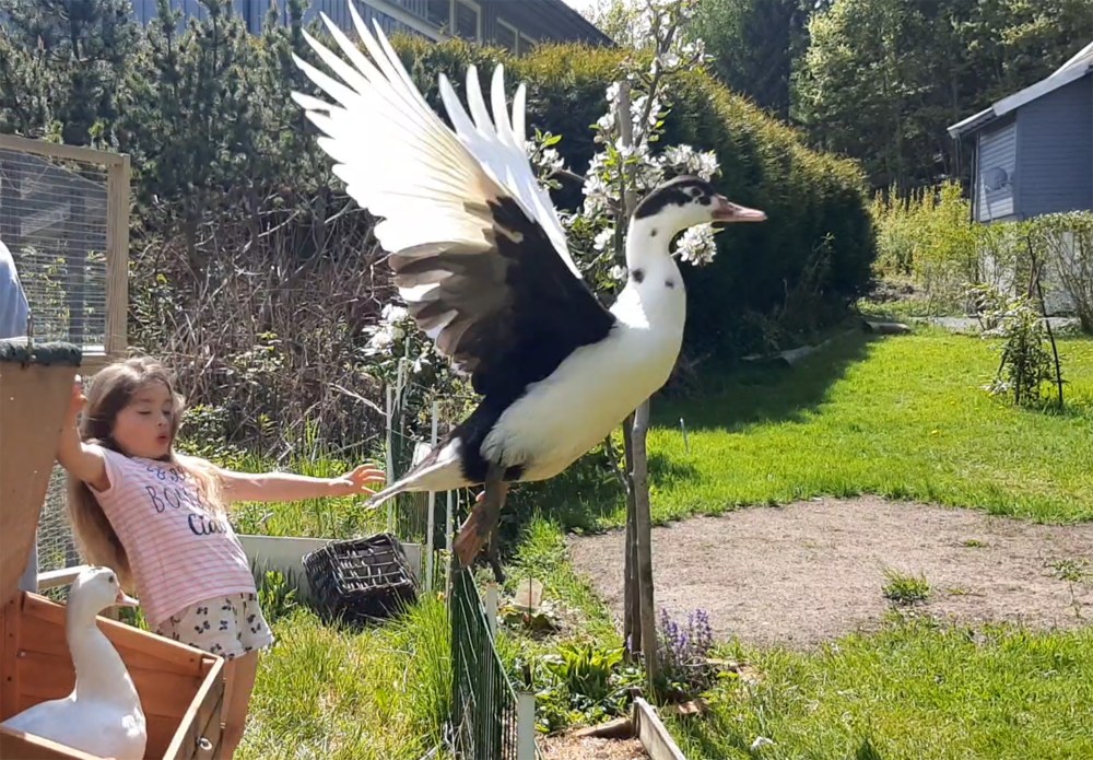 ande_rledes_tommetanker