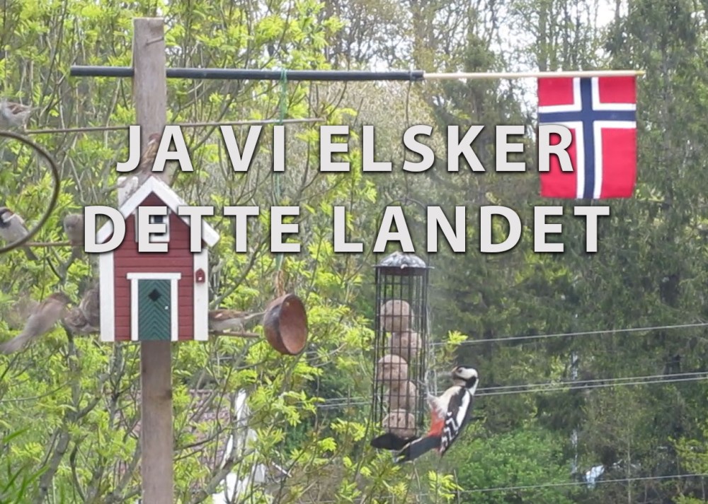 javielsker_flaggspett_tommetanker