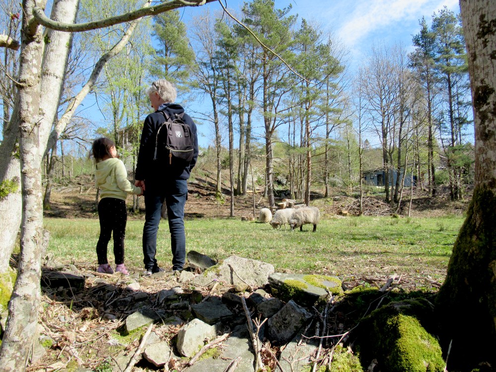 sukkevann_sauer_tommetanker