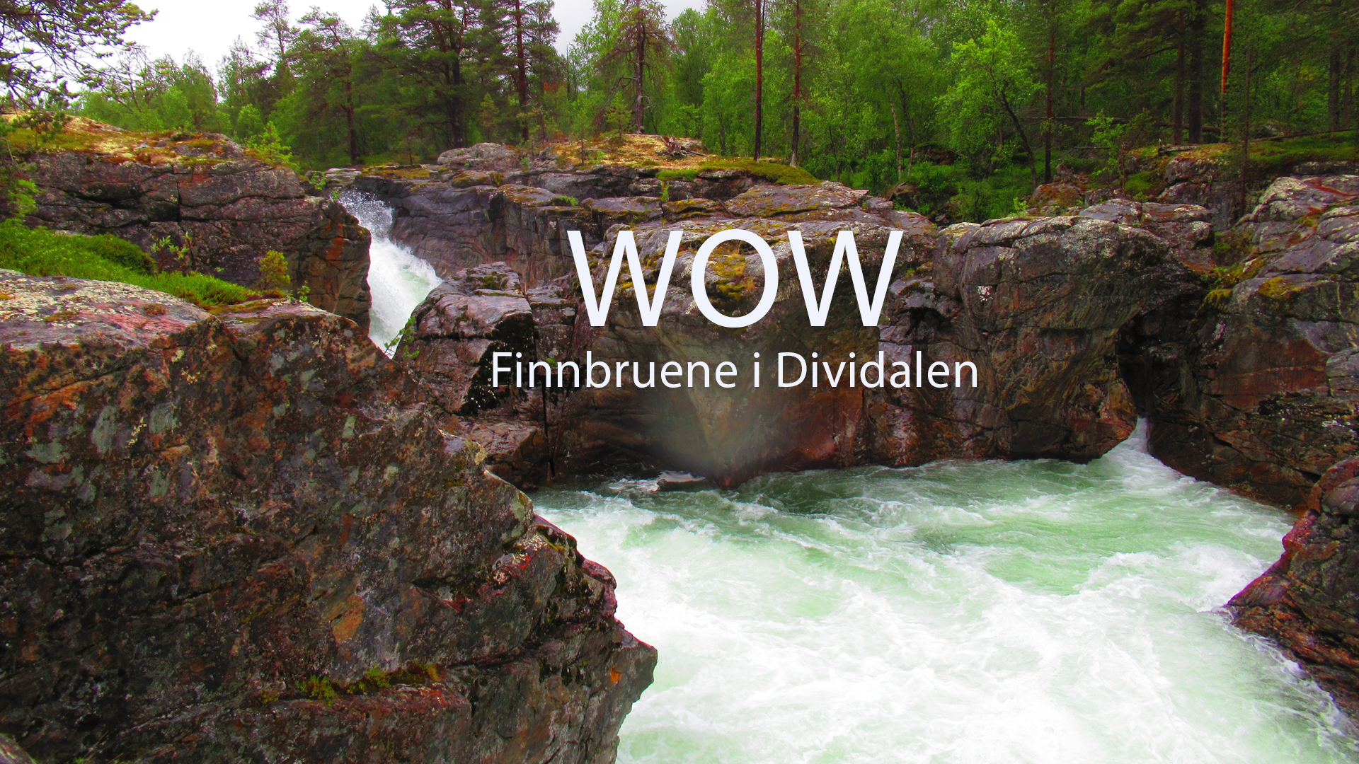 finnbruenen_wow