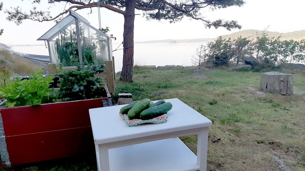 agurknytt2_tommetanker