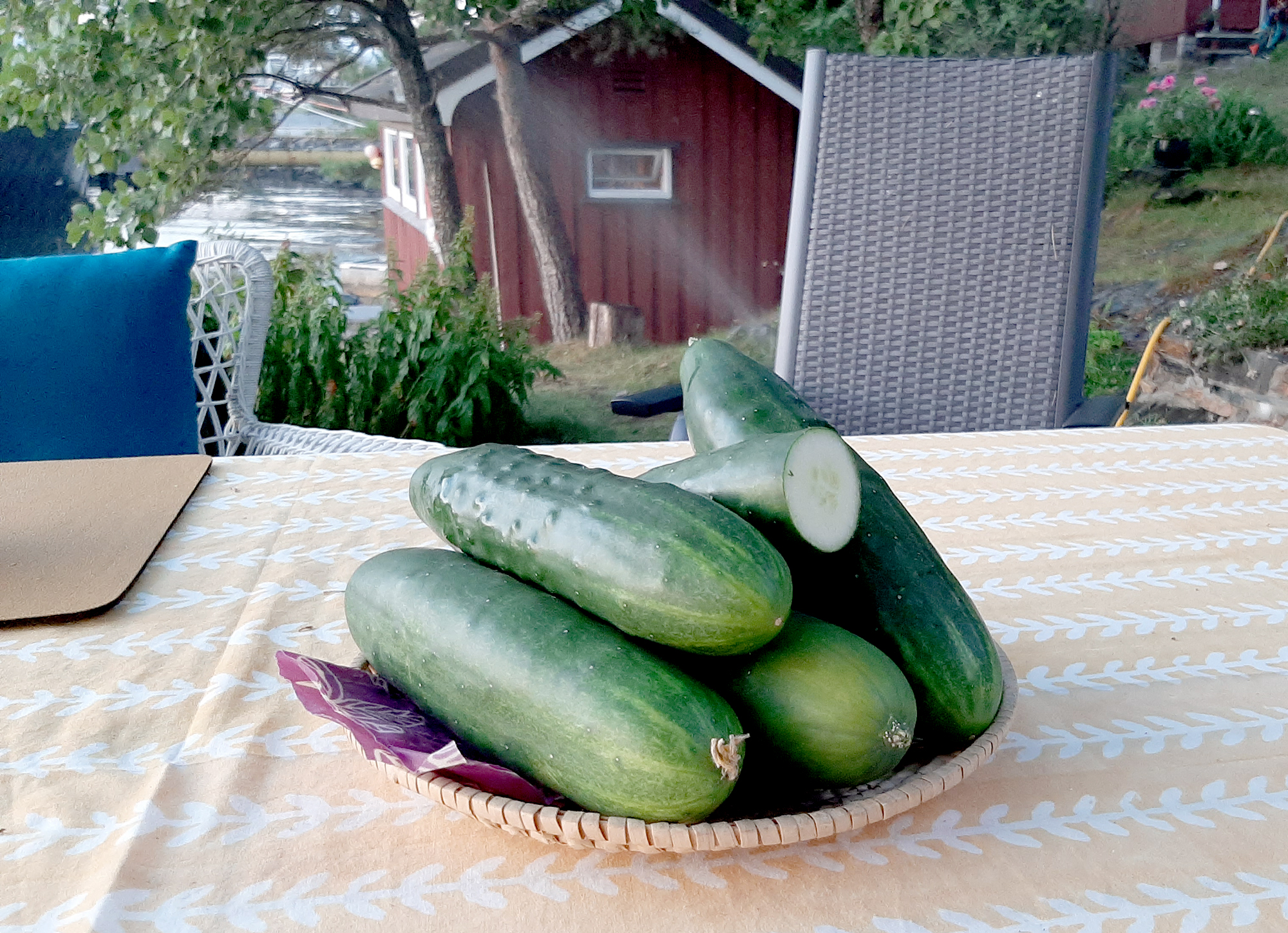 agurknytt4_tommetanker