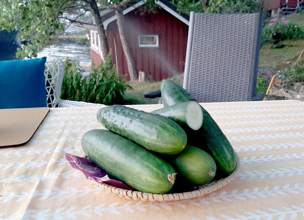 agurknytt4_tommetanker