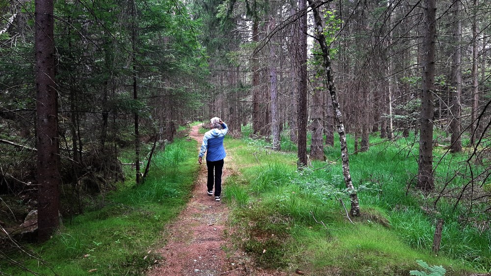 sannesvannet1_tommetanker